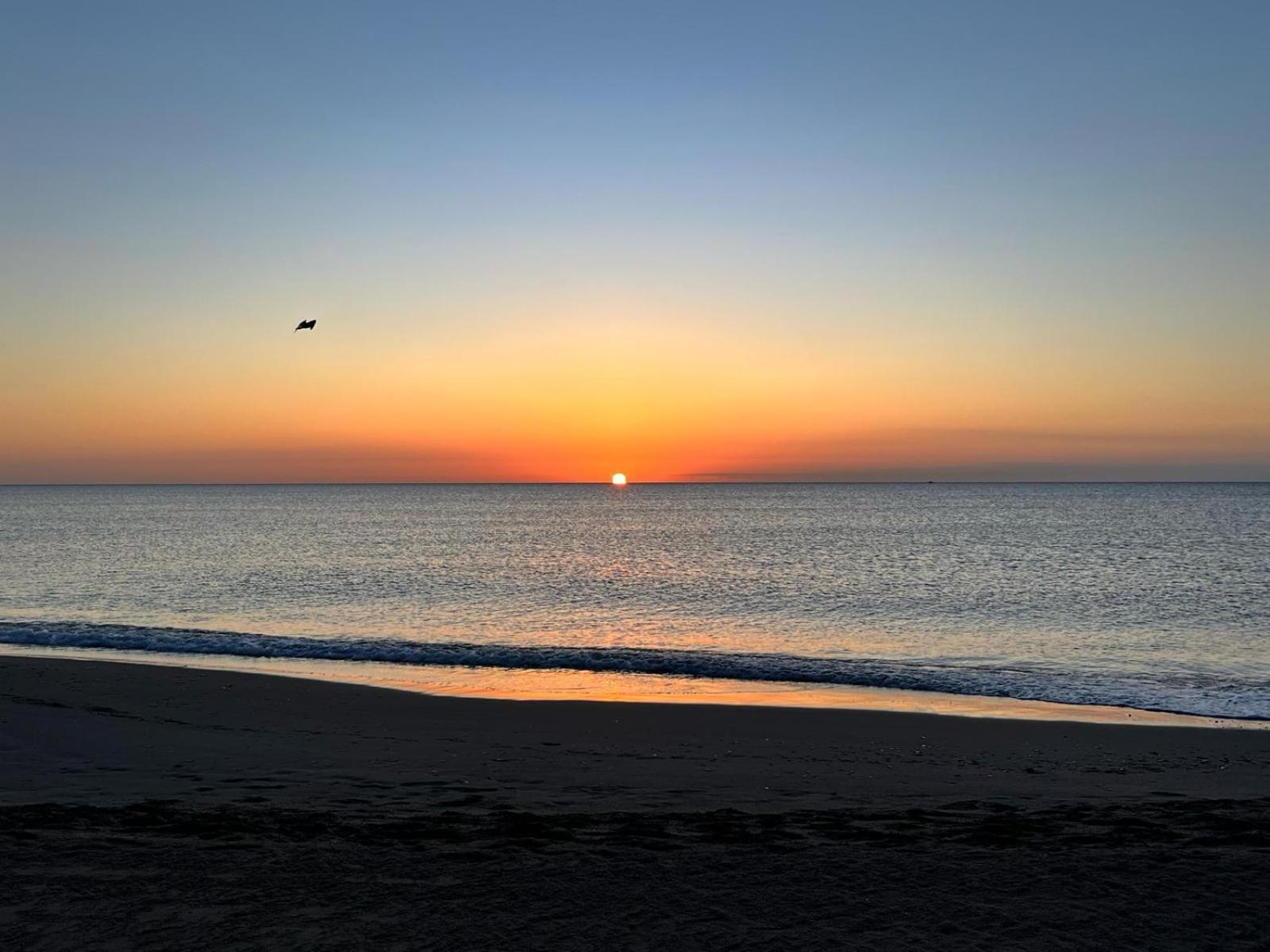 Urbanizacion Torremar Natura Vacacionesenvera.Com Eksteriør bilde
